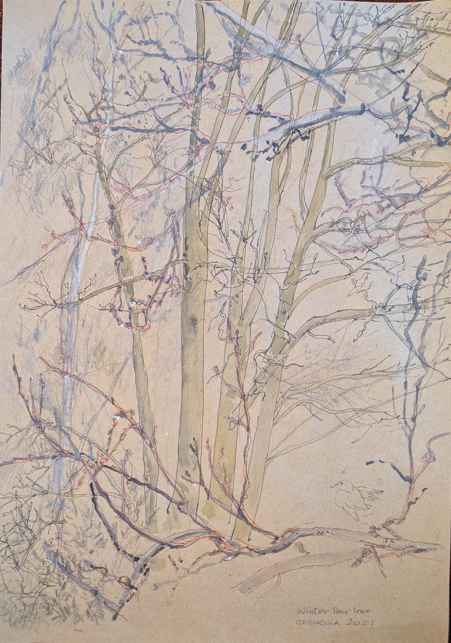 "Winter Pear Tree" watercolour and pen on brown paper