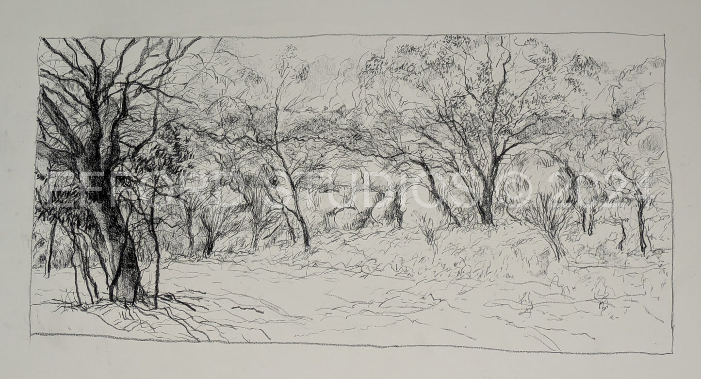 Sacred Hill, Mount Gibson
