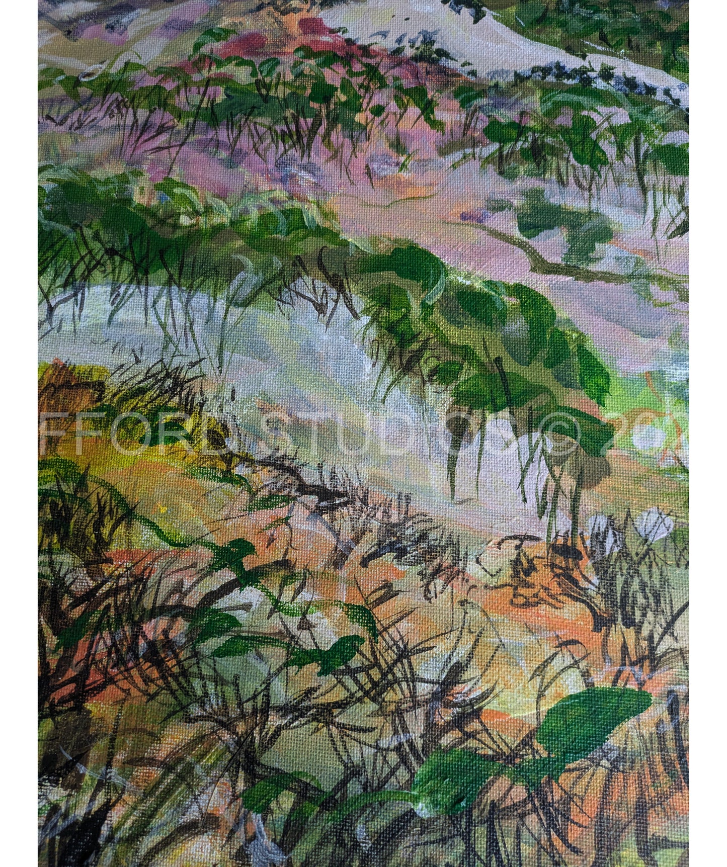 Chapman Valley Breakaway